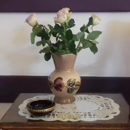 Szálloda The Tony Nicosia